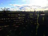 wymiana18_19