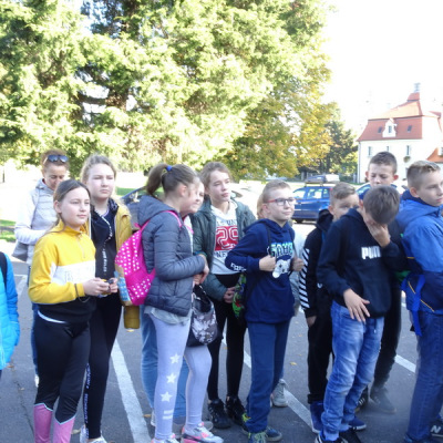 kornik19_02