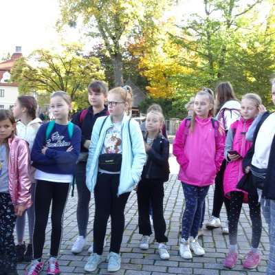 kornik19_03