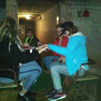 mru19_12