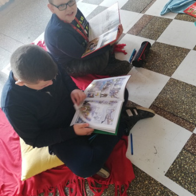 zaj_bibloteczne19_01