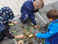 czytanie_20_05