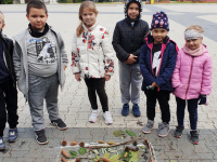 czytanie_20_07