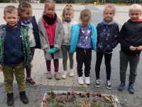 czytanie_20_08