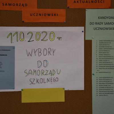 wybory-su20_02