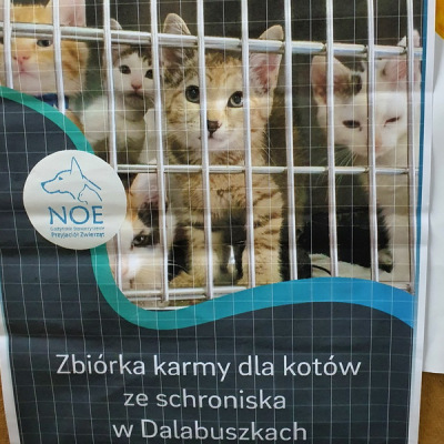 schronisko20_1