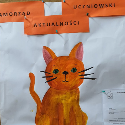 schronisko20_2