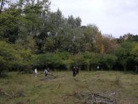 puszczykowo23-28