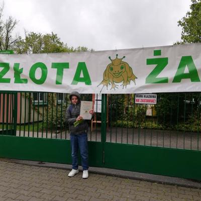 zaba24-6