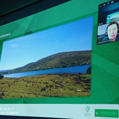 irlandia-p21_04