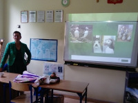 projekt_irlandia19_07