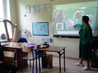 projekt_irlandia19_08