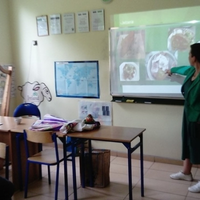 projekt_irlandia19_08