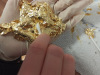 rogalin21_31
