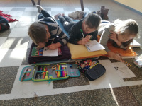 zaj_bibloteczne19_06